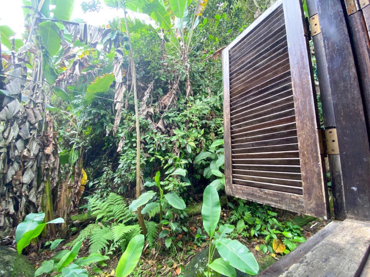 Albergue Sintonia Surf E Bar *